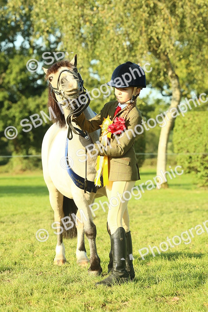 SBM_58470 - S37 - Starters In Hand Showing