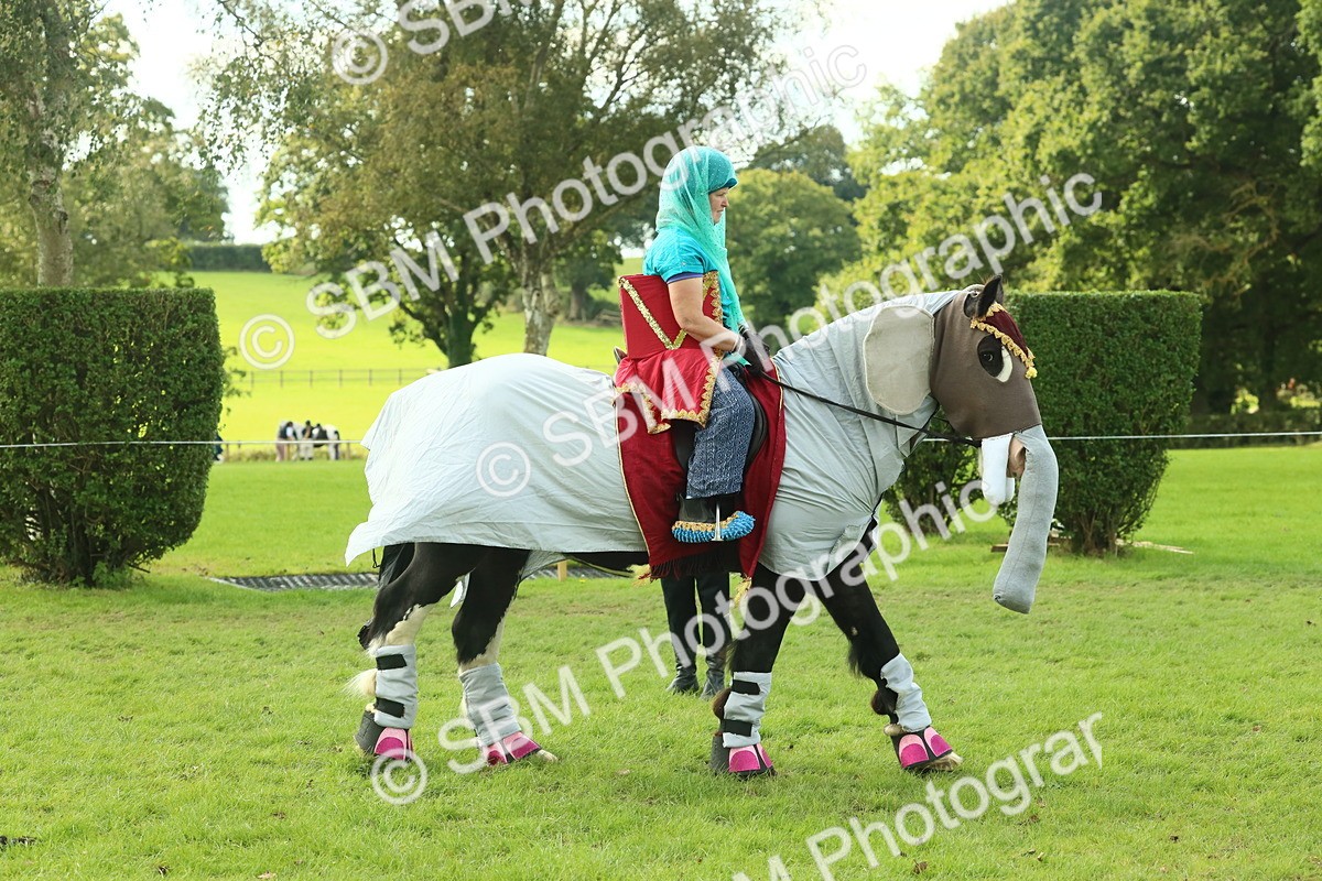 SBM_63502 - S35 - Fancy Dress Showing