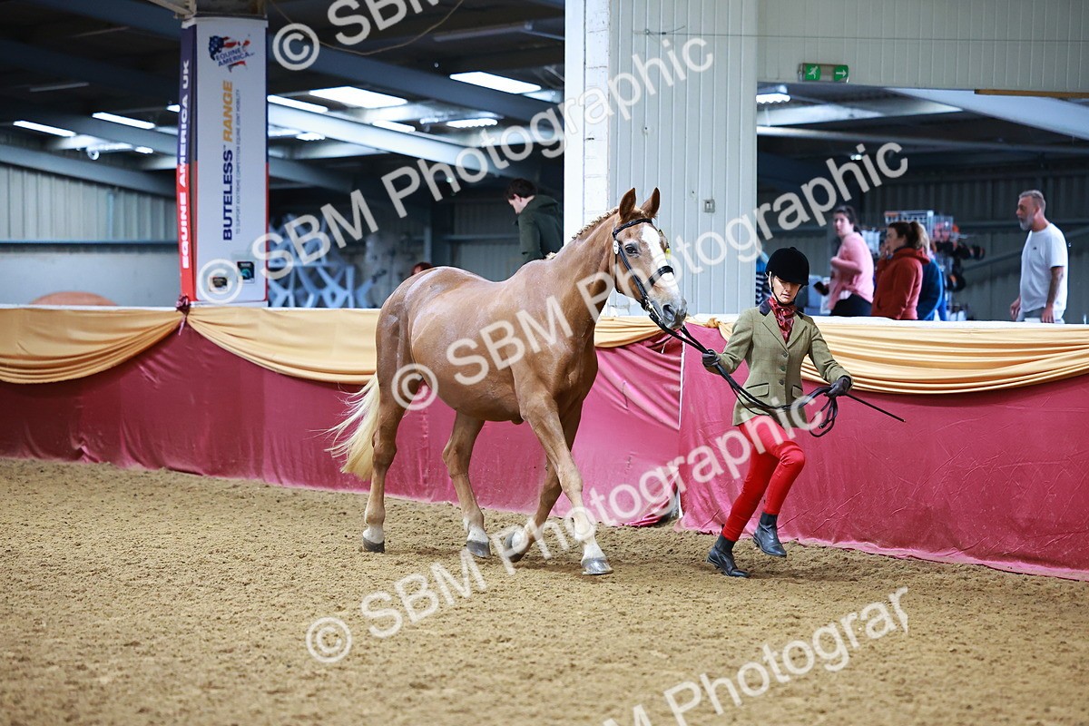 SBM_16134 - Class 901 - Sup Final - IH Diamond