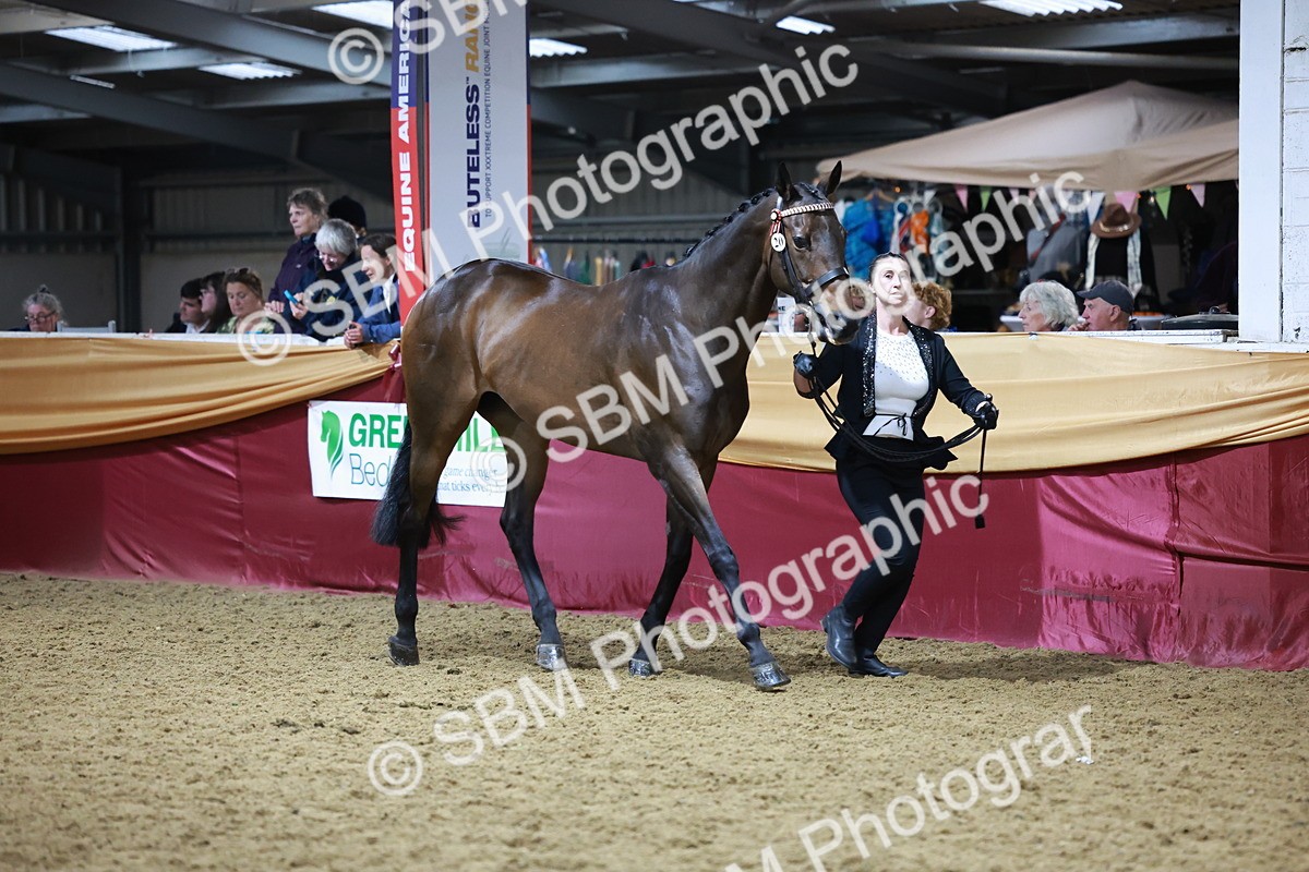 SBM_20622 - Class I - Ridden Pony Champ