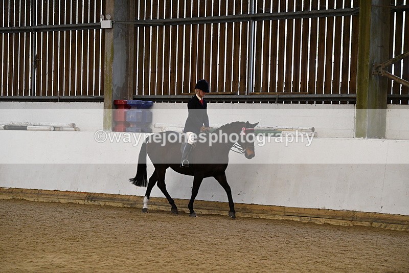 WJ5_7698 - Class 13 Ridden Part Breed