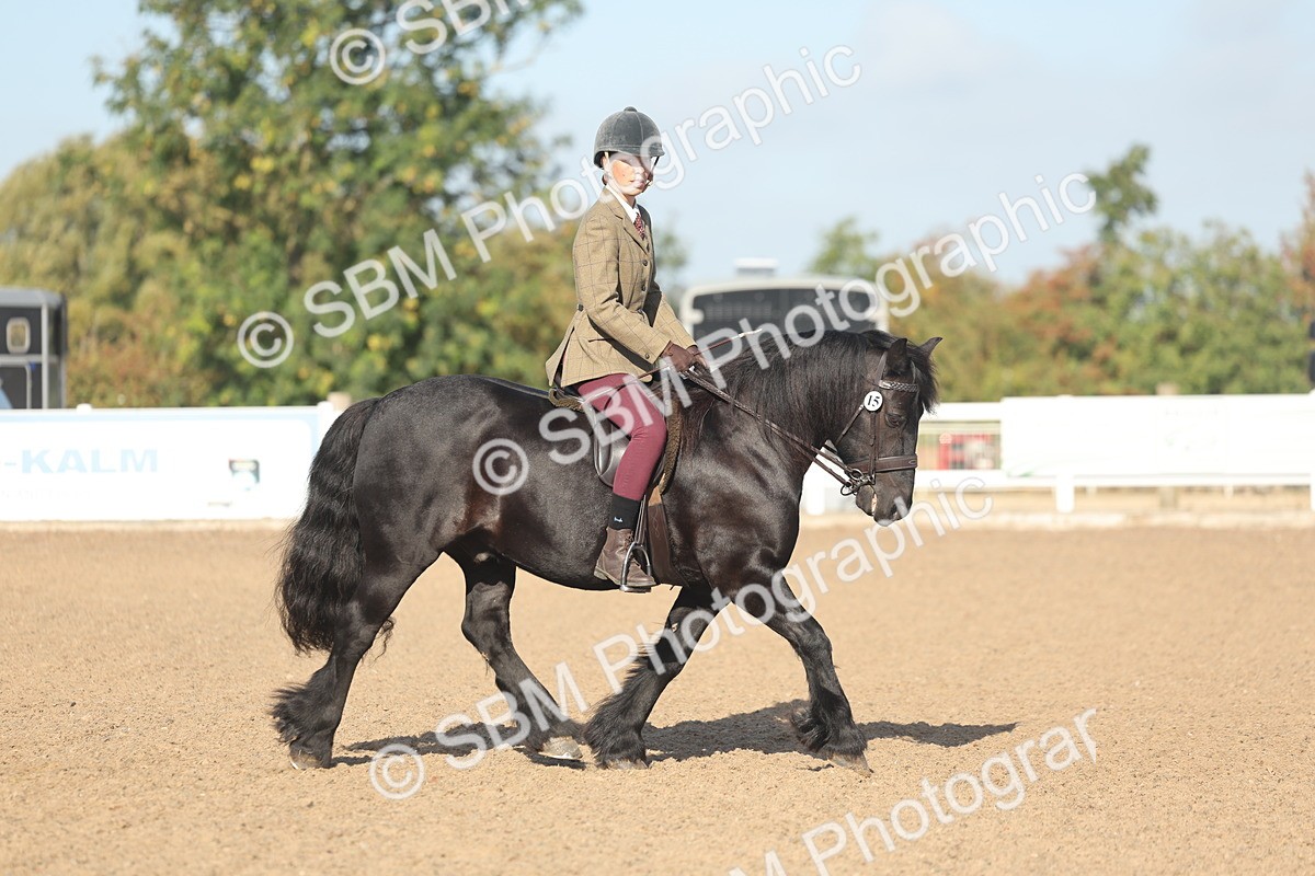 SBM_22172 - Class 802 - Ridden Groom Helpers Class