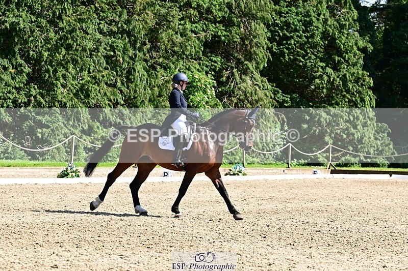 260529A-160808-11340 - C-386-Millie.Juleff