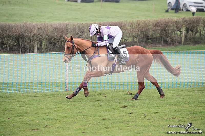 PR PtP 080326 458 - Guilsborough Pony Races 08/03/26