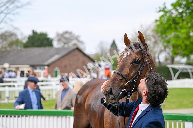 120425-Race 5-Majestic Warrior-1397 - Race 5