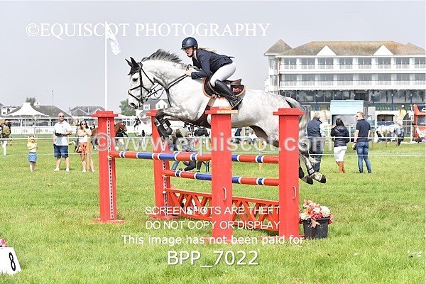 BPP_7022 - CLASS 3 RHS Fox Champ Qual (1.20m)