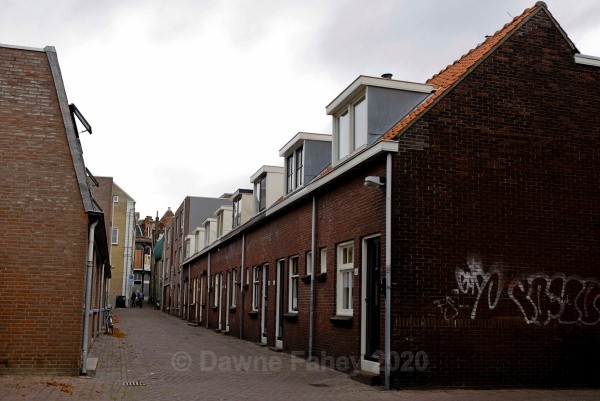  - Dordrecht Snapshots