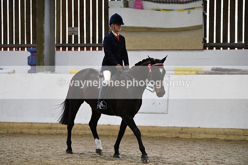 WJ5_7843 - Class 13 Ridden Part Breed