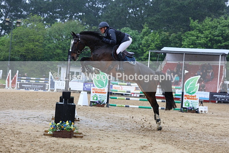 3E7A7450 - Class 8: Senior Foxhunter/1.20 open