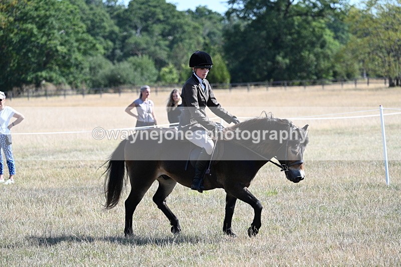 WJ7_3967 - Class 9 Mountain & Moorland Ridden