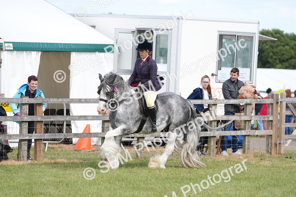 SBM_17161 - Class 107-108 - LIHS BSPS Performance Coloured Horse Pony