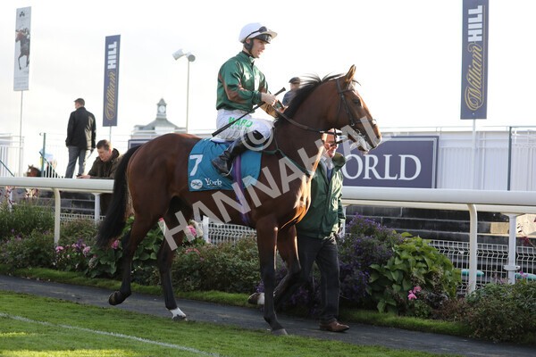 yr07102022r6-12 - Race 6 5.00pm William Hill Lengthen Your Odds EBF Novice Stakes