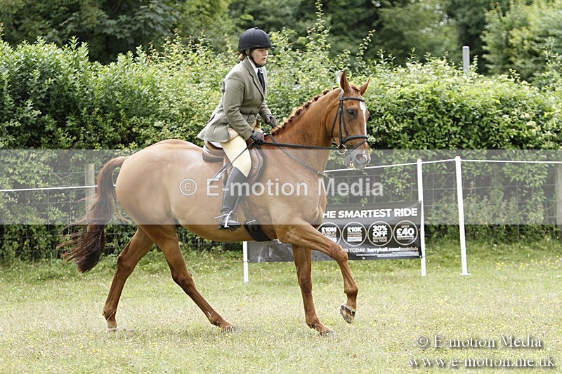 BVR160717-2249 - Ring 3 BVRC Show 16/07/17