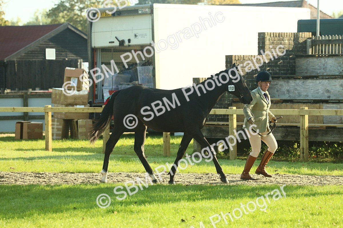 SBM_58537 - S37 - Starters In Hand Showing