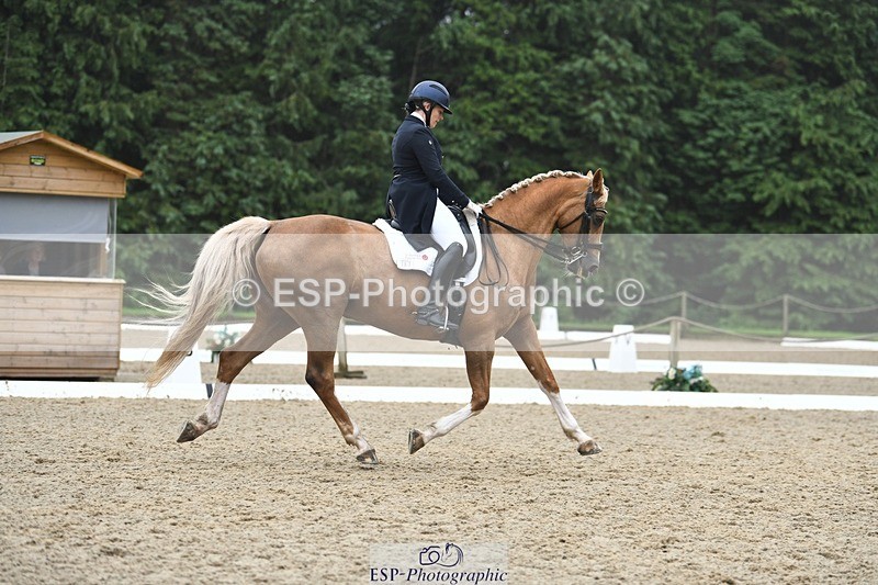 240720-144729-05806 - 187-Clare_Smith-Dori_Dragon_Fly