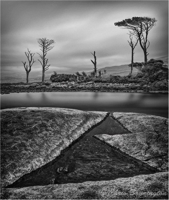 Lone Survivor - Landscapes - Mono