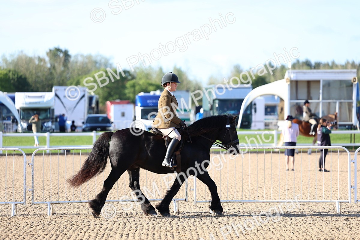 SBM_08736 - Class 302 - Ridden M&M - Large Breeds