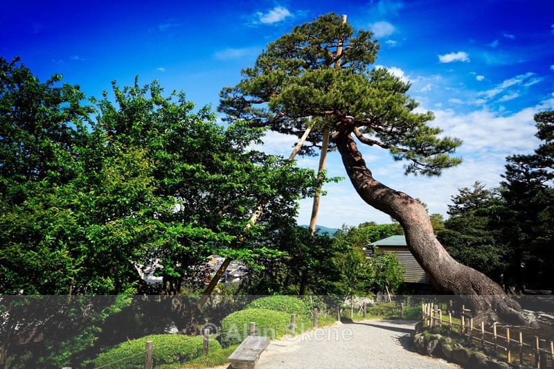 DSC05193 - Kanazawa
