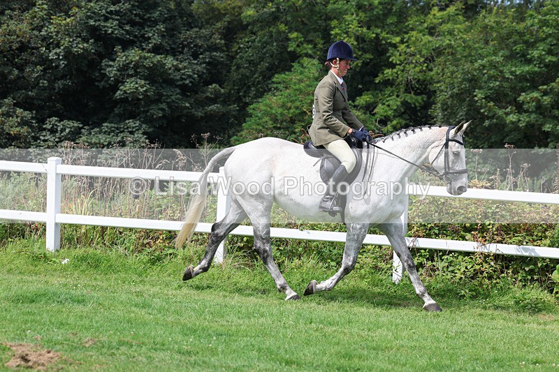 3E7A8641 - Class 5: Working Show Horse