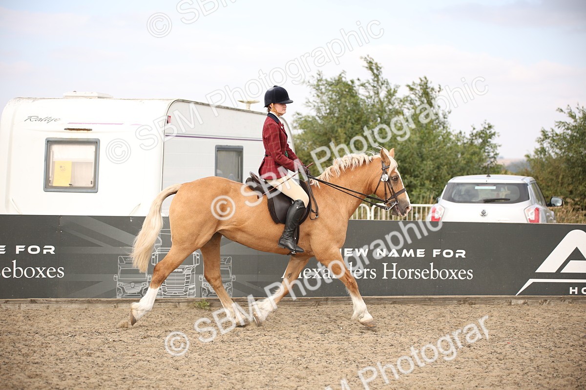 SBM_17334 - Class 410a - Wor5king Veteran 90cm (15-19)