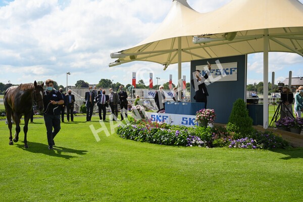 yr11062021r3-52 - Race 3 2.55pm SKF Rous Selling Stakes