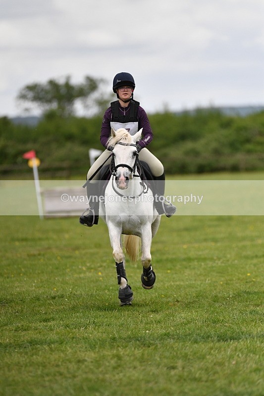 WJ5_3589 - Class 6 80cm