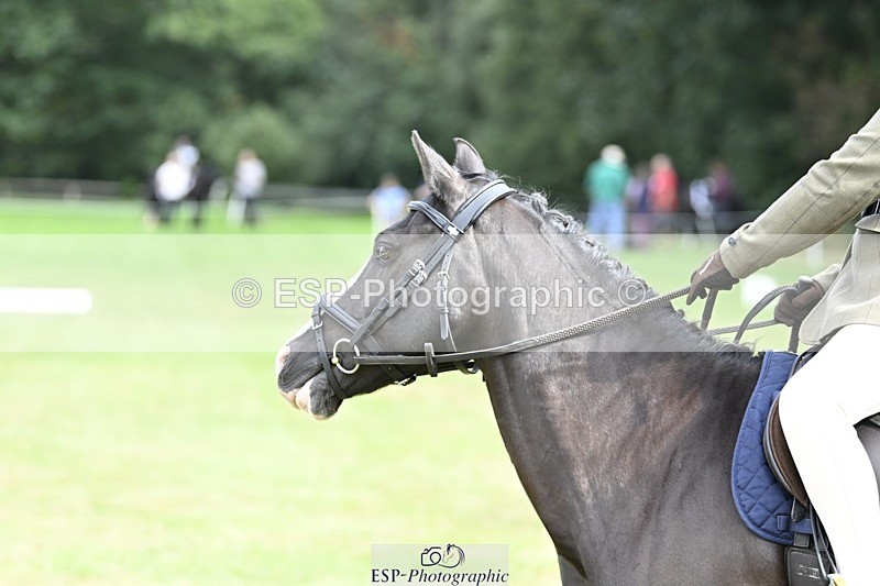 250821A-101454-14213 - DR 10.00 to 11.00