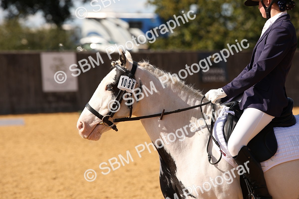 SBM_24264 - D5 - Small Tour Championship - Intro C