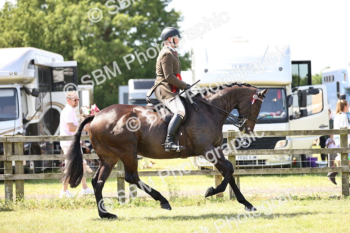 SBM_15015 - Class 78 - LIHS BSHA Open Racehorse & Show Horse