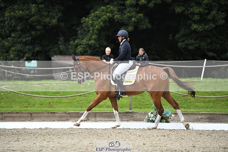 230812-122133-04103 - Cls 6 Novice Silver 12.10 to End