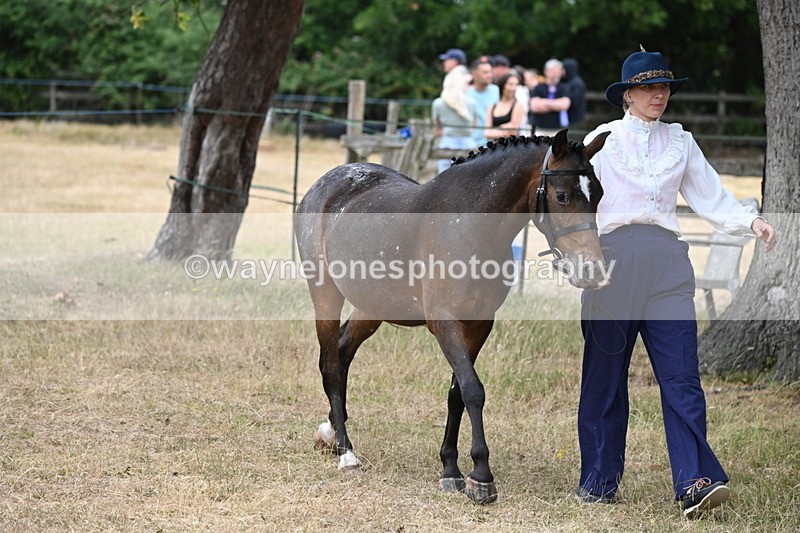 WJ6_7965 - Class 10 Coloured in Hand