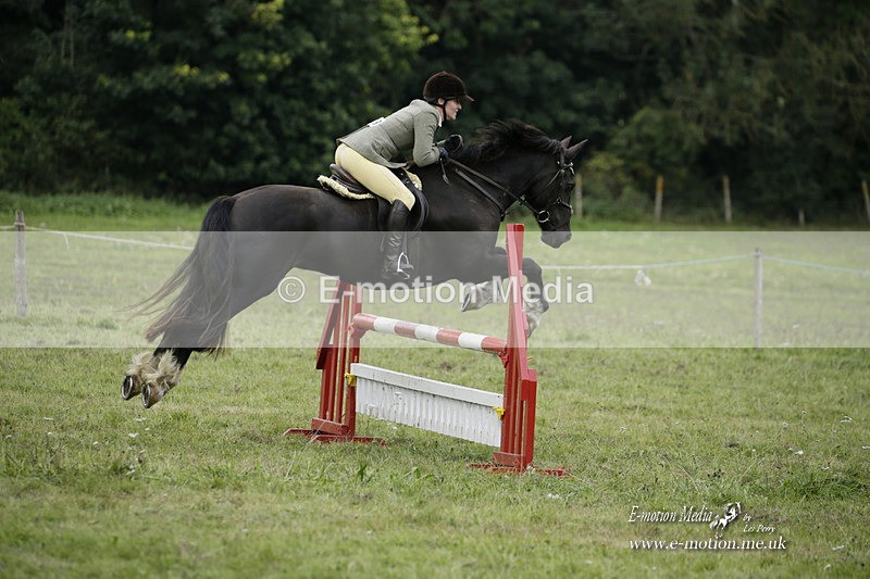 BVRC 120921 542 - Bourne Valley Riding Club UA Dressage & Show Jumping 12/09/21