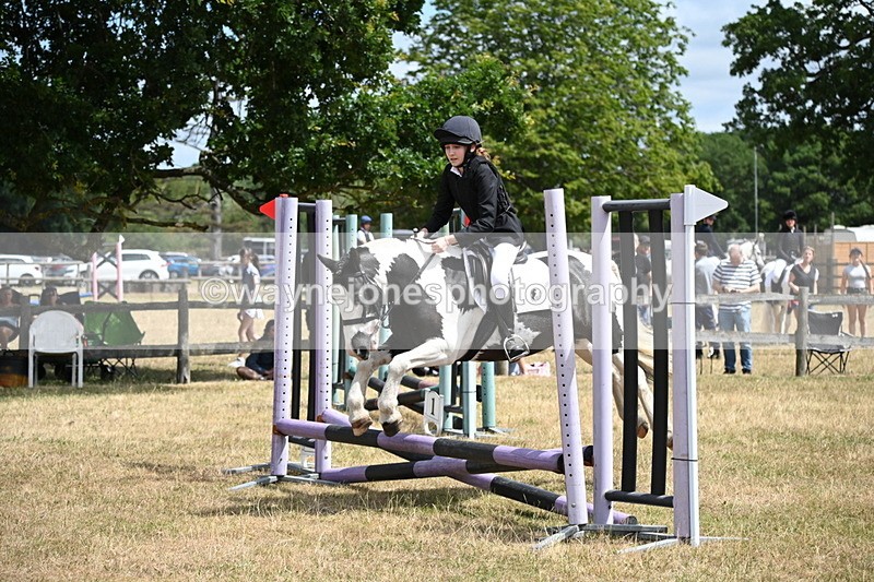 WJ6_5372 - Class 12 Minimus Jumping 45cm