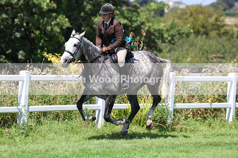 3E7A9248 - Working Hunter Championship