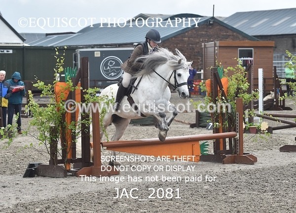 JAC_2081 - CLASS 1 Nursery Novice Working Hunter