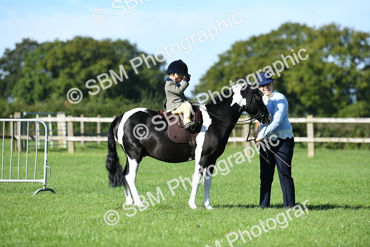 SBM_36811 - S18 - Novice & Newcomers Lead Rein Pony