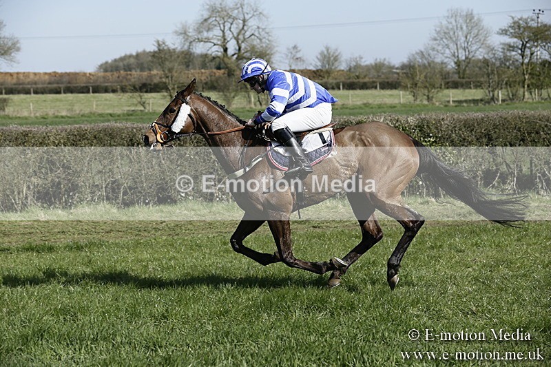 PtP 250317 137 - V.W.H. Hunt Point-to-Point Siddington 25/03/17