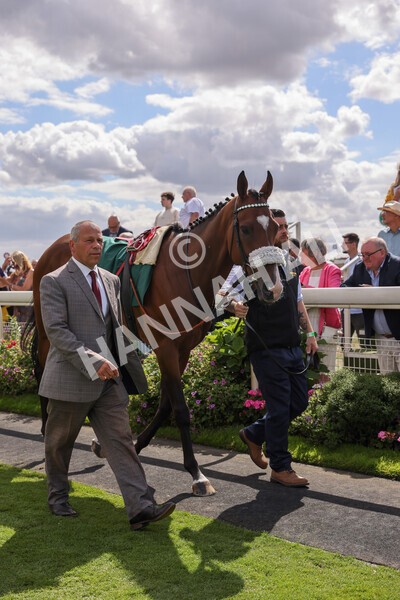 yr19082022r2-7 - Race 2 2.25pm Weatherbys Hamilton Lonsdale Cup (British Champions Series Race)