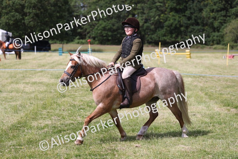20260614-0752 - Class 20 - Beginners Working Hunter Pony
