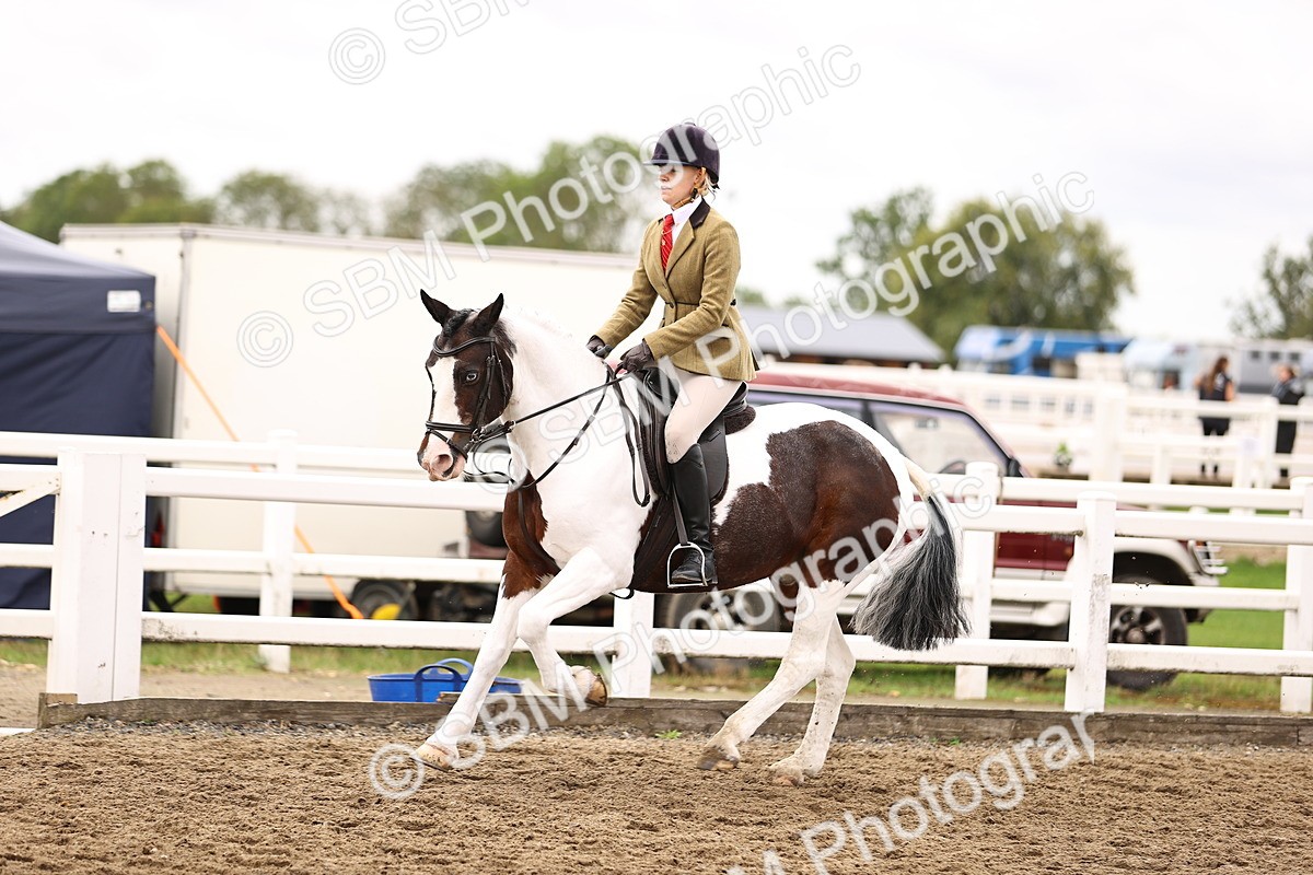 SBM_01380 - Class 54 - Riding Club Horse Pony