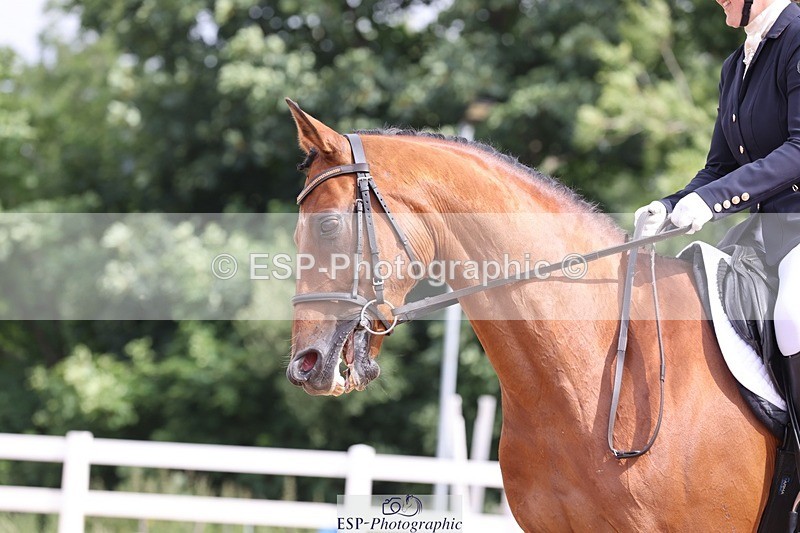 250620-100325-00344 - BD Cls 6 - Freestyle Novice