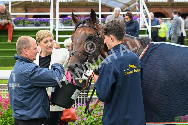 120724-Race 6-The Coffee Pod-6472 - Race 6 4.55pm Irish Thoroughbred Marketing Handicap