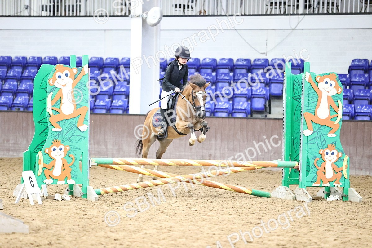 SBM_001028 - Class 4 -  Prestige Design & Workwear  60cm Area 12 Championship Qualifier
