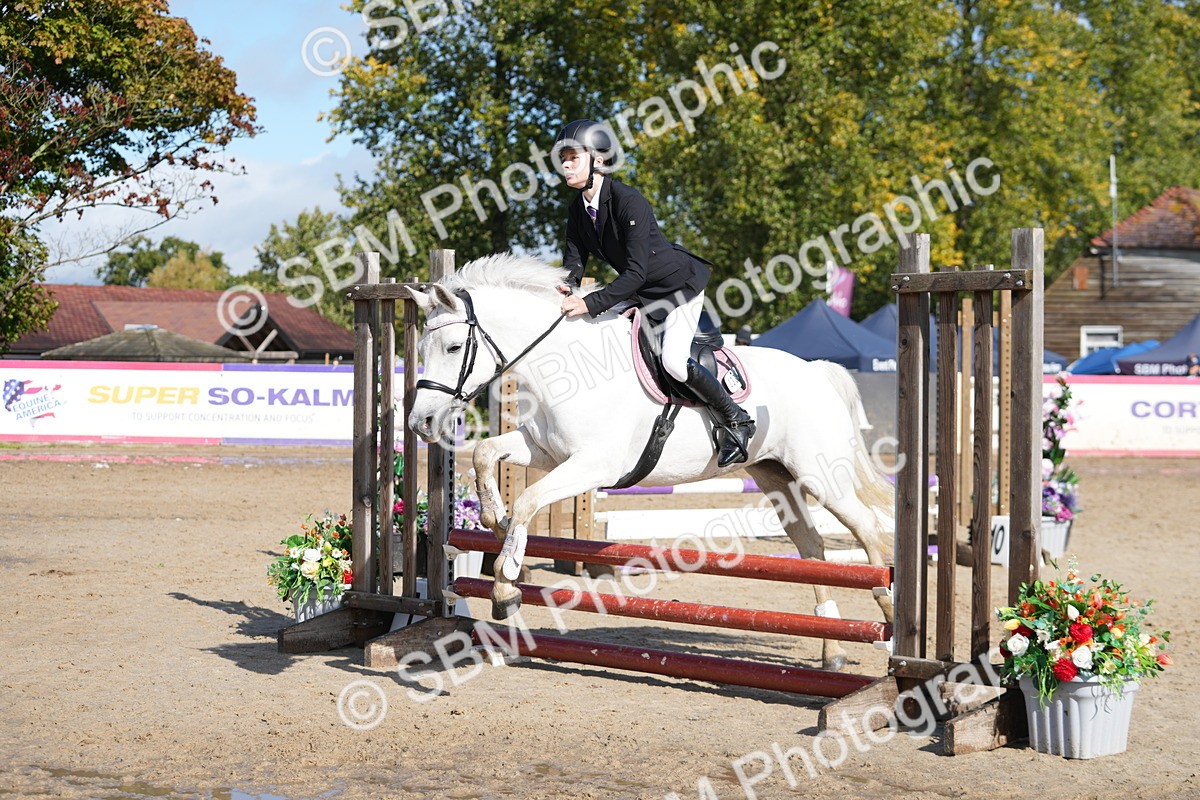 SBM_38400 - J6 - Junior Pony 55cm Championship