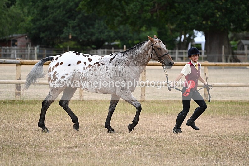 WJ6_8522 - Class 10 Coloured in Hand