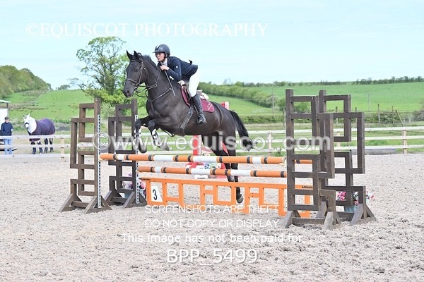 BPP_5499 - CLASS 4  BritishNovice/ 90cm Open