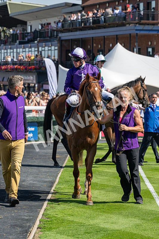 120826-Race 2-Empire Rising-5667 - Race 2 14.45pm 911 At Porsche Centre Hull EBF Restricted Maiden Stakes