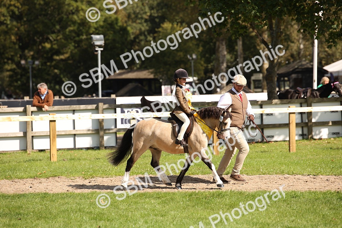 SBM_40888 - Fun Showing Supreme Championship