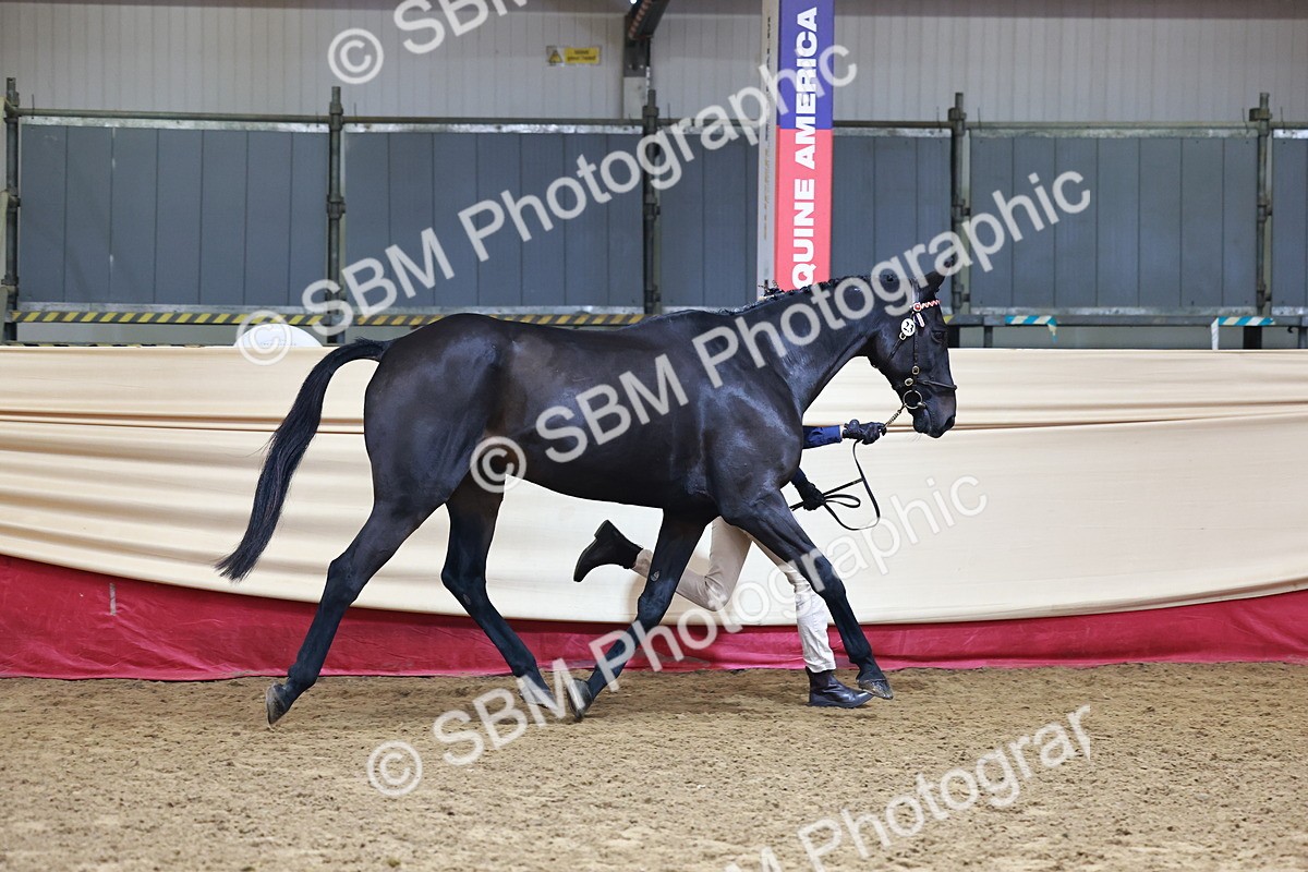 SBM_22222 - Class 902 - Supreme Final - IH Diamond