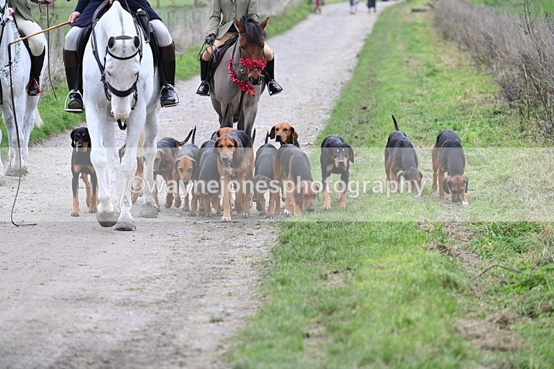 WJ7_1210 - Walk Home